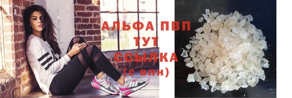 шишки Белокуриха