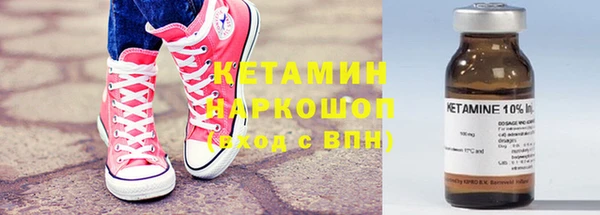 шишки Белокуриха
