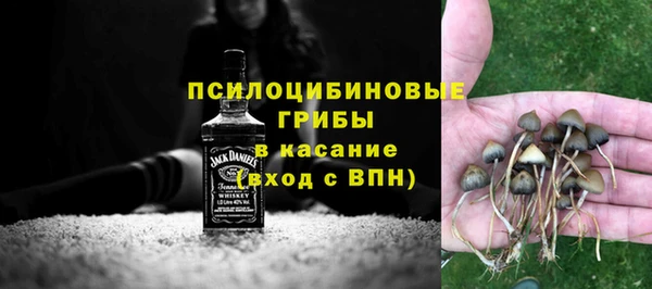 шишки Белокуриха