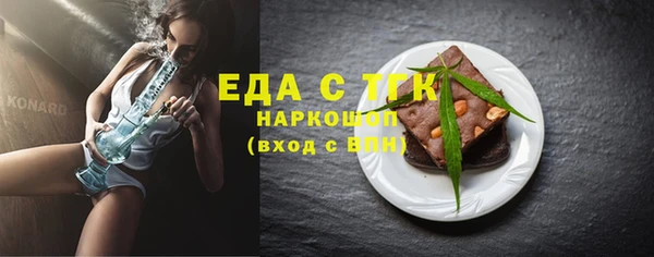 шишки Белокуриха