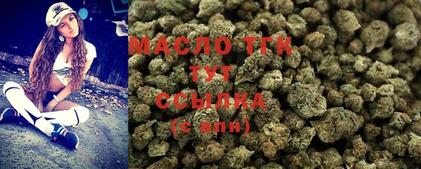 шишки Белокуриха