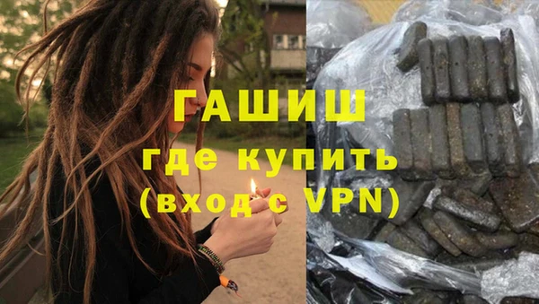 шишки Белокуриха