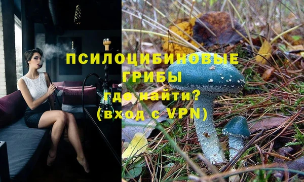 шишки Белокуриха