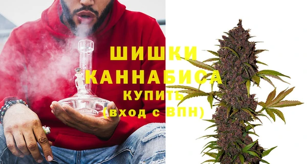 мдпв Семёнов