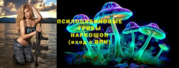 шишки Белокуриха