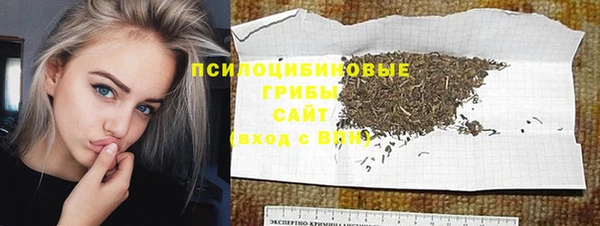 шишки Белокуриха