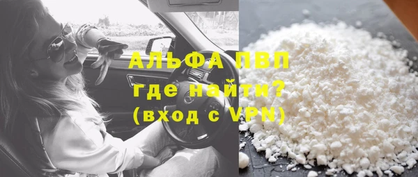 шишки Белокуриха