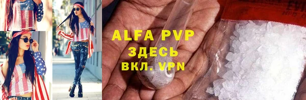 шишки Белокуриха