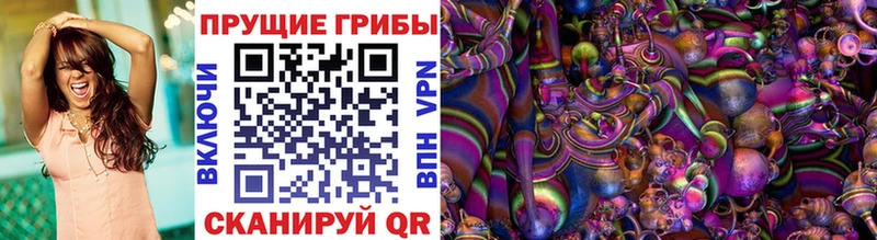 Псилоцибиновые грибы Psilocybe  МЕГА маркетплейс  Малая Вишера  продажа наркотиков 